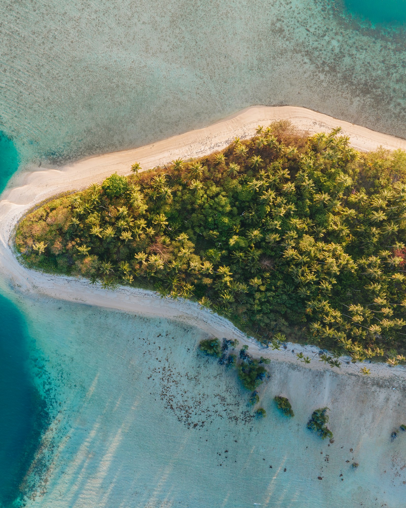 Aerial tropical island surrounded by turquoise water